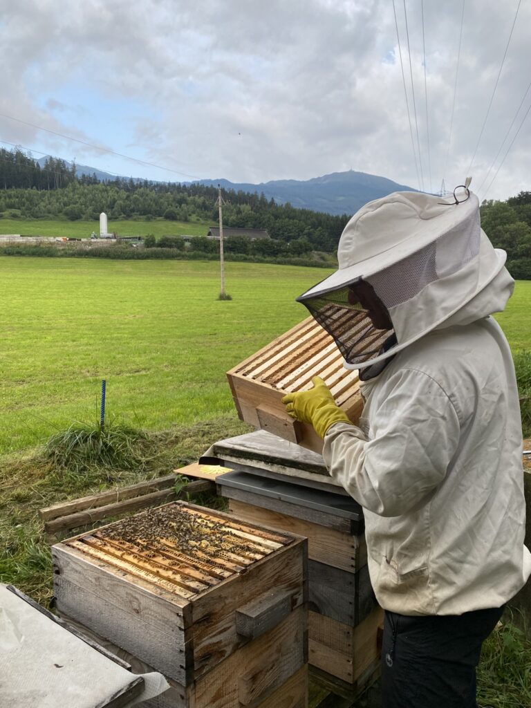 Georg bei der Kontrolle eines Bienenvolks